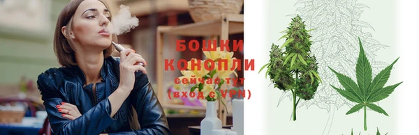 spice Осташков
