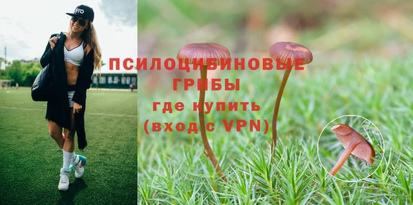эйфоретик Аркадак