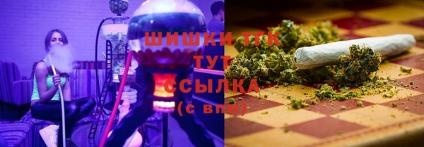 Альфа ПВП Осинники
