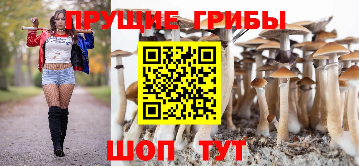 Родники  Псилоцибиновые грибы прущие грибы  Галлюциногенные грибы GOLDEN TEACHER  Вход с VPN 