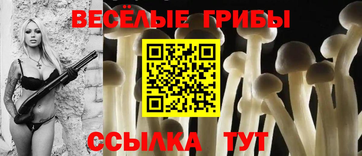 Псилоцибиновые грибы Psilocybine cubensis  Родники 